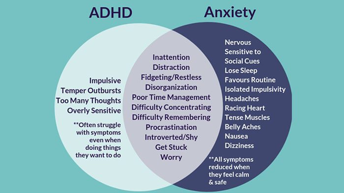 Clinical features of anxiety and ADHD