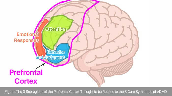 Symptoms of ADHD