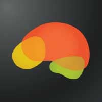 Cognitive memory app for adults