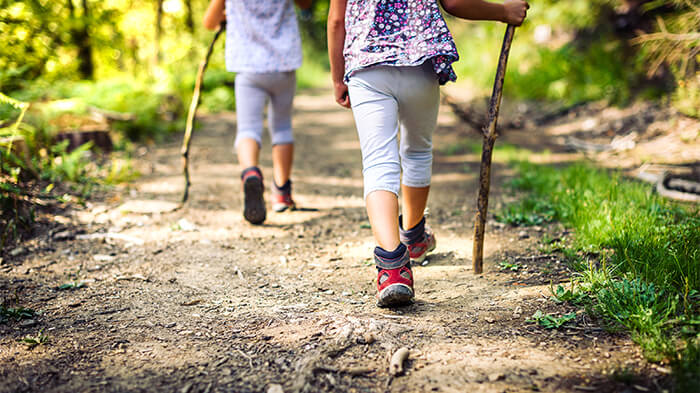 nature walk brain break for kids