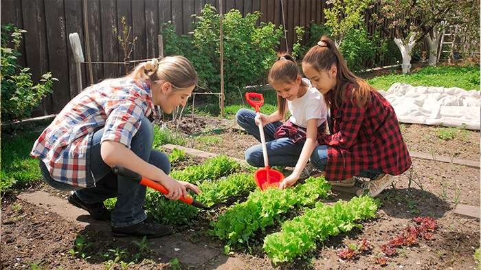 gardening brain break for kids