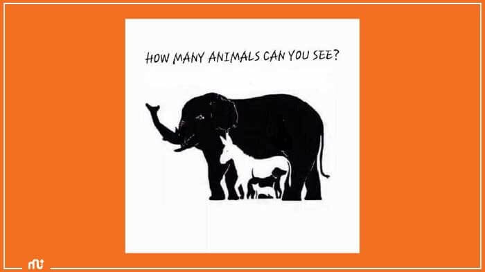 animals brain teaser