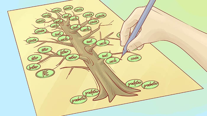 DIY ideas for kids, family tree