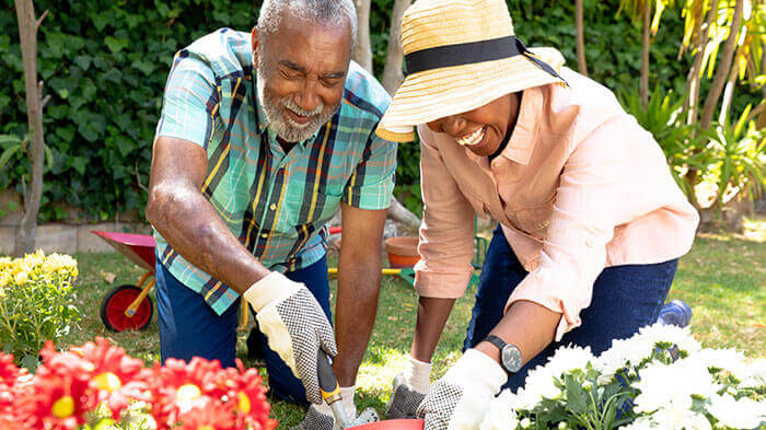 gardening