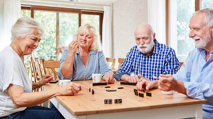 dominoes game