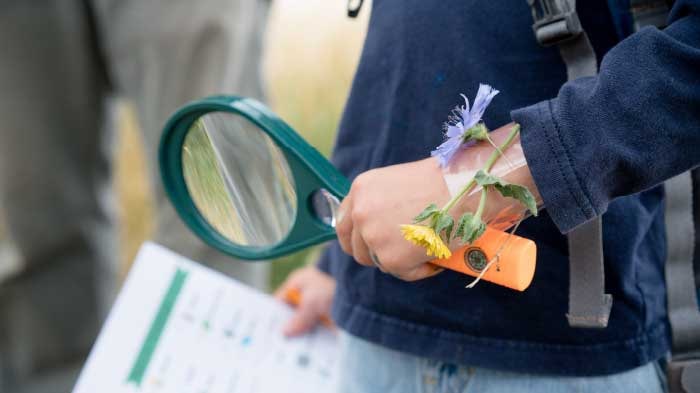 Games to play with kindergartners in nature