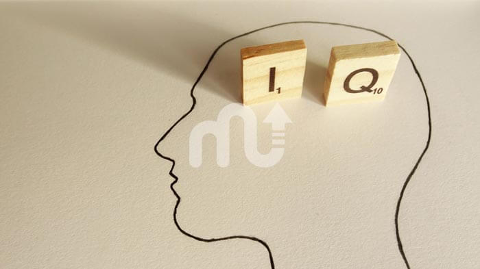 How to Calculate IQ? Popular IQ Tests and Scales - MentalUP