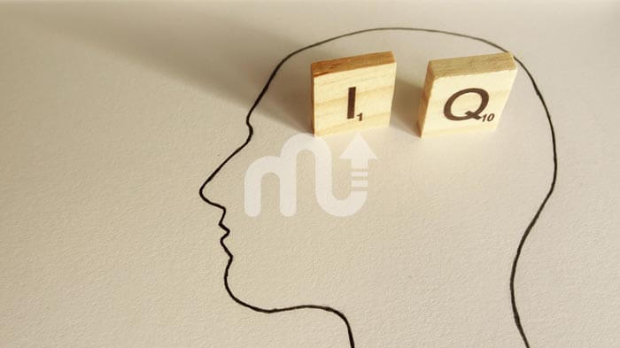 IQ Tests - Best Free IQ measuring tools