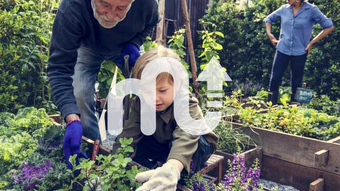 planting a garden