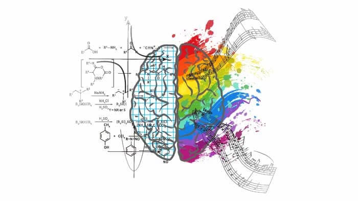 difference between left and right brain