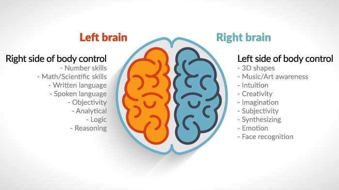 Difference Between Left Brain Vs Right Brain Mentalup