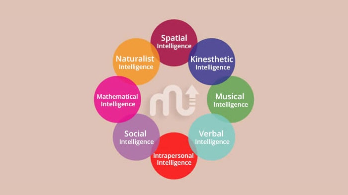 Types of intelligence