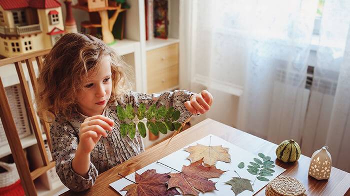 naturalistic intelligence activities in the classroom
