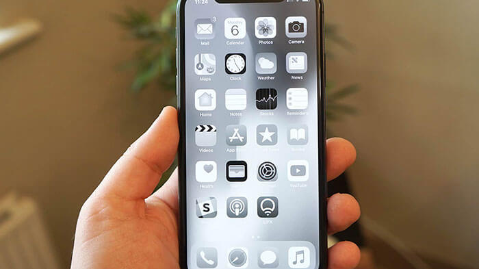 Grayscale phone