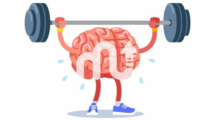 Right Brain vs Left Brain Test