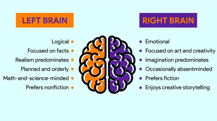 Left Brain Right Brain Test. 100% Reliable Psychology-Based