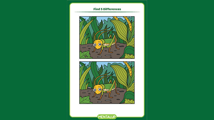 Spot The Difference Games For Kids Adults MentalUP