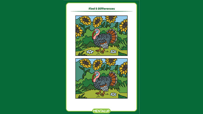Find Differences Logic Puzzle Game Children Adults Printable Page