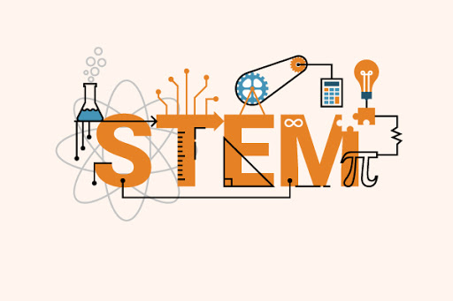 STEM Success Stories