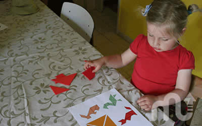 Tangram-educational-toys